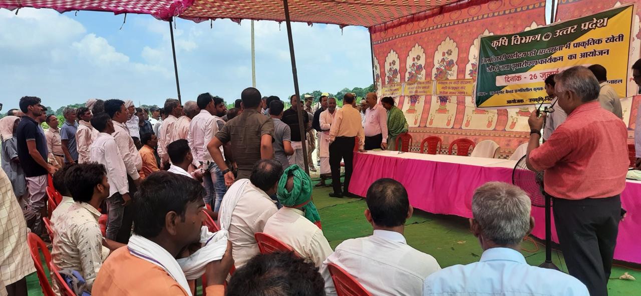 Image WhatsApp Image 2024-11-22 at 14.11.05_c689edf1.jpg